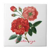  rode rozenillustratie Thunder_Cove Tegeltje (Voorkant)