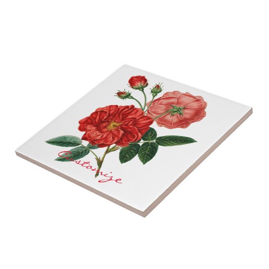  rode rozenillustratie Thunder_Cove Tegeltje (Zijkant)