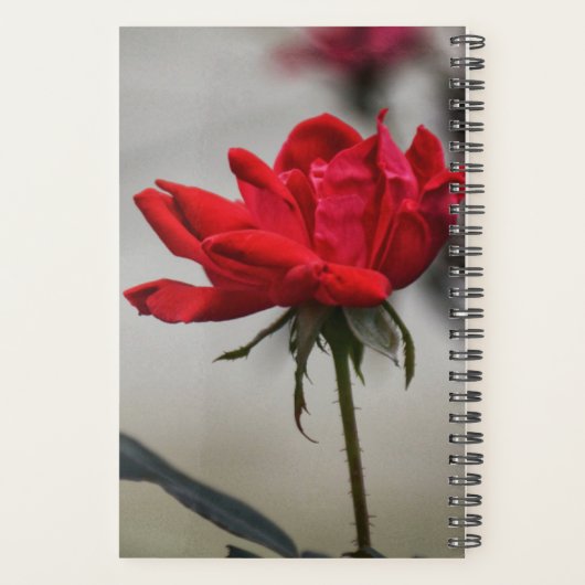 Rode rozenmooie plannen Floral Planner (Achterkant)