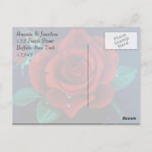 Rode rozenolie Roos voor het schilderen Briefkaart (Achterkant)