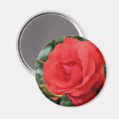 Rode rozenventilator magneet (Voorkant / Achterkant)