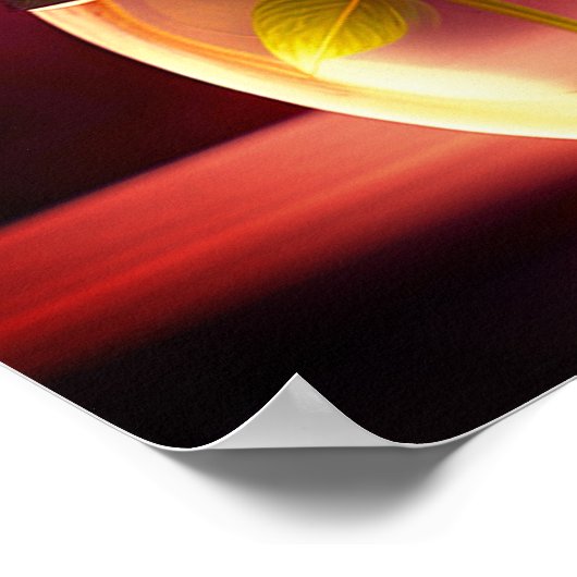 Rode rozenventilator poster (Hoek)