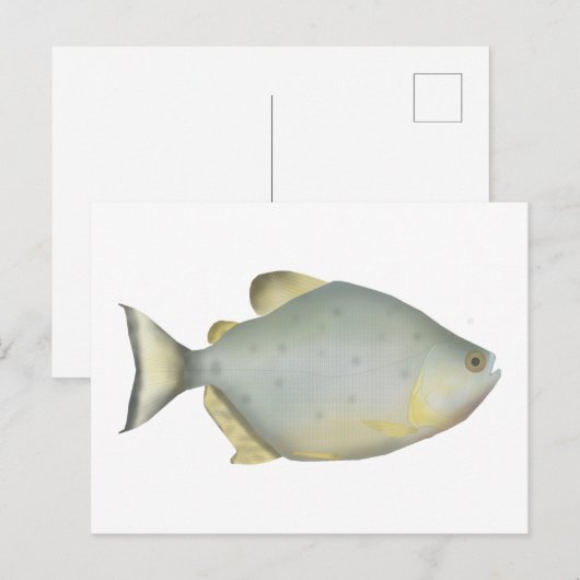 Rode Ruby Piranha Briefkaart (Voorkant / Achterkant)
