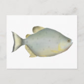 Rode Ruby Piranha Briefkaart (Voorkant)