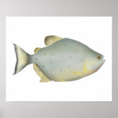 Rode Ruby Piranha Poster (Voorkant)