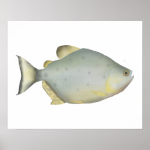 Rode Ruby Piranha