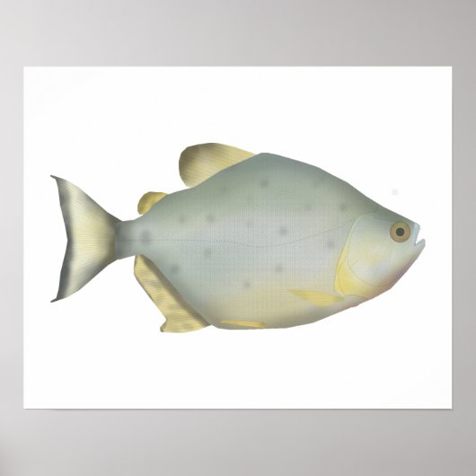 Rode Ruby Piranha Poster (Voorkant)