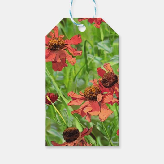 RODE RUDBECKIA BLOEMEN CADEAULABEL (Voorkant)