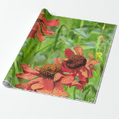 RODE RUDBECKIA BLOEMEN CADEAUPAPIER (Uitgerold)