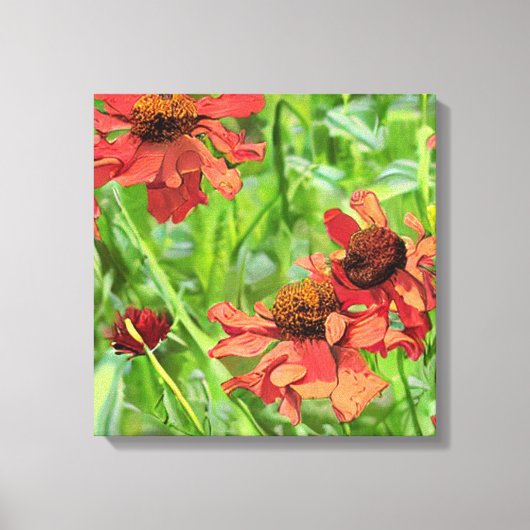 RODE RUDBECKIA BLOEMEN CANVAS AFDRUK (Voorkant)