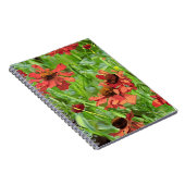 RODE RUDBECKIA BLOEMEN NOTITIEBOEK (Rechterzijde)
