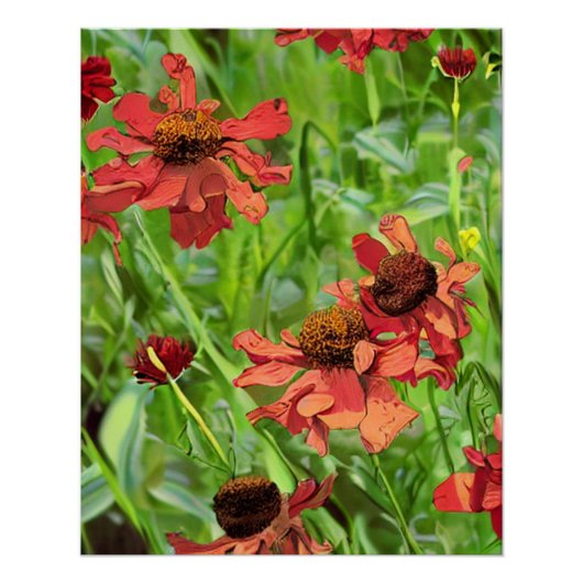RODE RUDBECKIA BLOEMEN PERFECT POSTER (Voorkant)