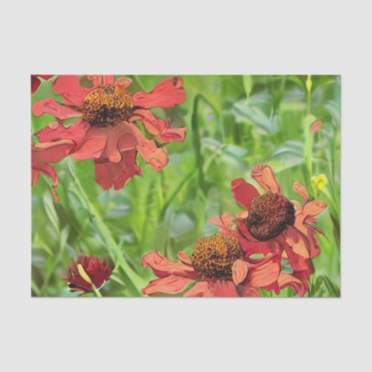 RODE RUDBECKIA BLOEMEN TISSUEPAPIER (Voorkant)