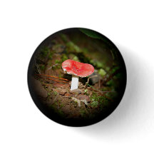 Rode Russula-paddenstoel