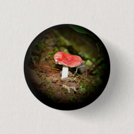 Rode Russula-paddenstoel Ronde Button 3,2 Cm