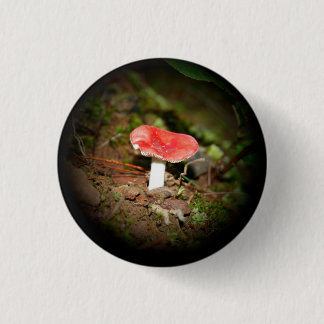 Rode Russula-paddenstoel Ronde Button 3,2 Cm
