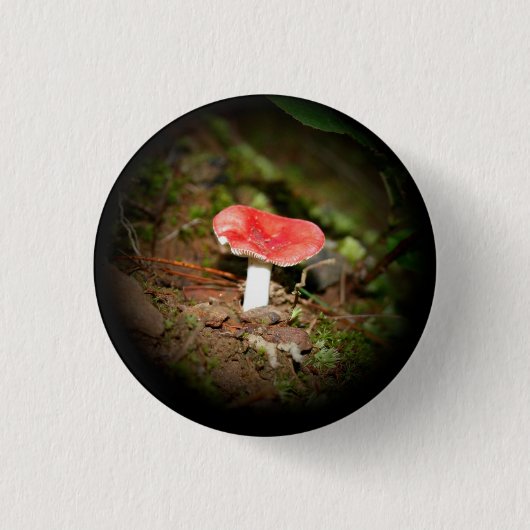 Rode Russula-paddenstoel Ronde Button 3,2 Cm (Voorkant)