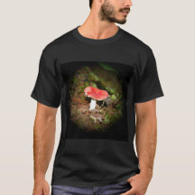 Rode Russula-paddenstoel