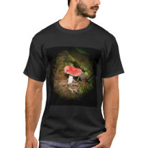 Rode Russula-paddenstoel