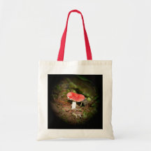 Rode Russula-paddenstoel