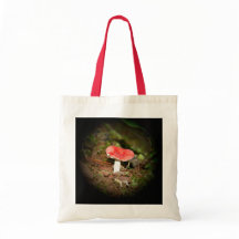 Rode Russula-paddenstoel