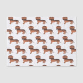 Rode Sable Gladde Vacht Dachshund Cute Hond Patroo Tissuepapier (Voorkant)
