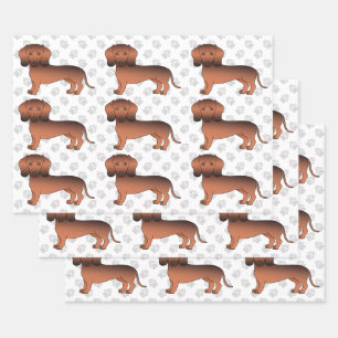 Rode Sable Gladharige Dachshond Mooie Hond Patroon Inpakpapier Vel
