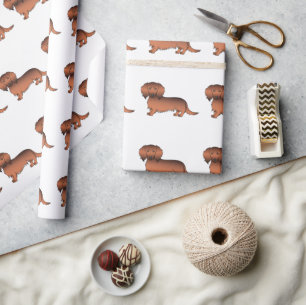 Rode Sable Langharige Dachshund Cartoonhondpatroon Cadeaupapier
