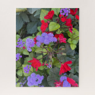  Rode Salvia en Paarse Ageratum, Quebec City  Legpuzzel