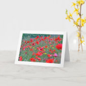 Rode Schotse Papavers Kaart (Gele Bloem)