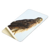 Rode schouder Hawk flexibele magneet (Linkerzijde)