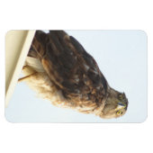 Rode schouder Hawk flexibele magneet (Horizontaal)
