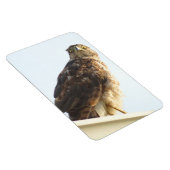 Rode schouder Hawk flexibele magneet (Rechterzijde)