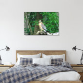 Rode schouder Hawk verpakt Canvas Print (Insitu (Slaapkamer))