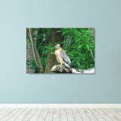 Rode schouder Hawk verpakt Canvas Print (Insitu (Houten vloer))