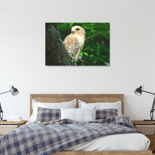 Rode schouder Hawk verpakt Canvas Print (Insitu (Slaapkamer))