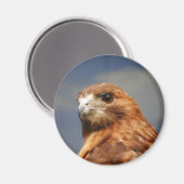 Rode schoudershavik magneet (Voorkant / Achterkant)