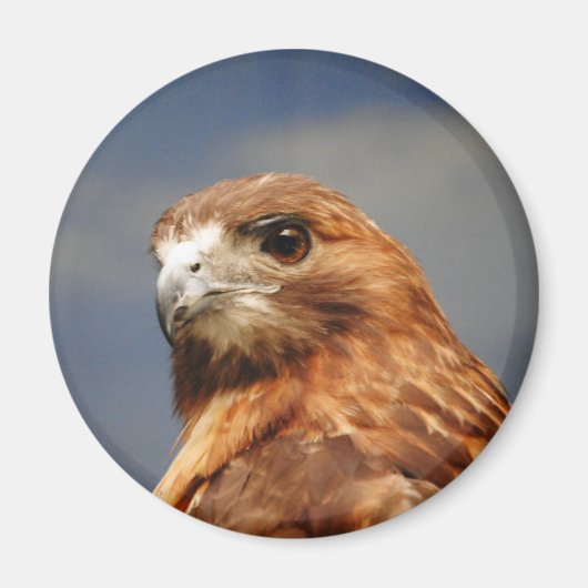 Rode schoudershavik magneet (Voorkant)