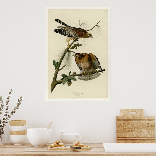 Rode schoudershavik poster (Keuken)