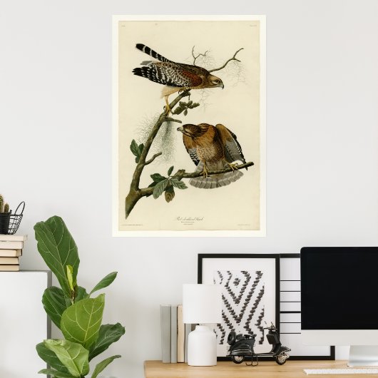 Rode schoudershavik poster (Thuiskantoor)