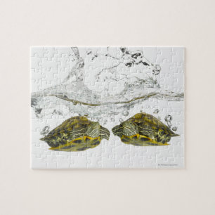 Rode schuifschildpadden legpuzzel