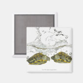 Rode schuifschildpadden magneet (Voorkant / Achterkant)