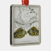 Rode schuifschildpadden metalen ornament (Rechts)