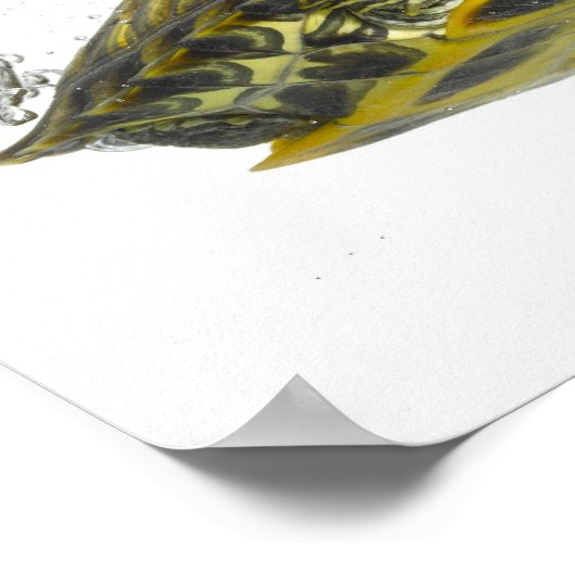 Rode schuifschildpadden poster (Hoek)