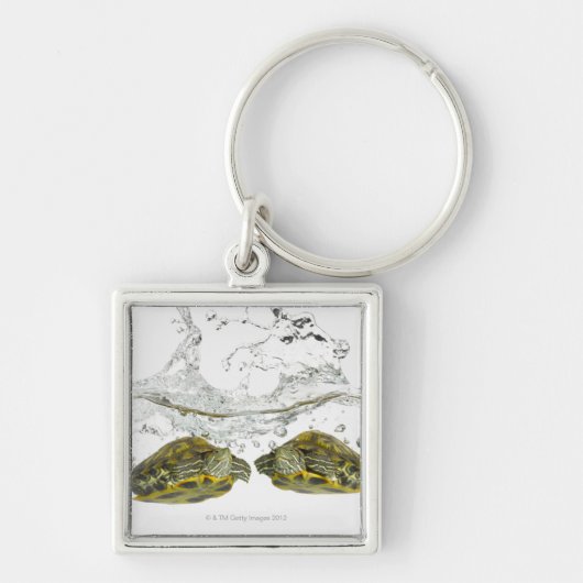 Rode schuifschildpadden sleutelhanger (Voorkant)