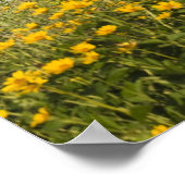 Rode schuur en gele wilde bloemen poster (Hoek)