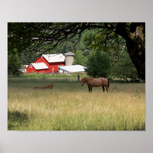 Rode schuur en paarden poster (Voorkant)
