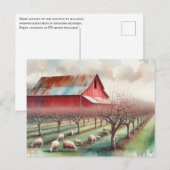 Rode schuur en pistache boomgaard briefkaart (Voorkant / Achterkant)