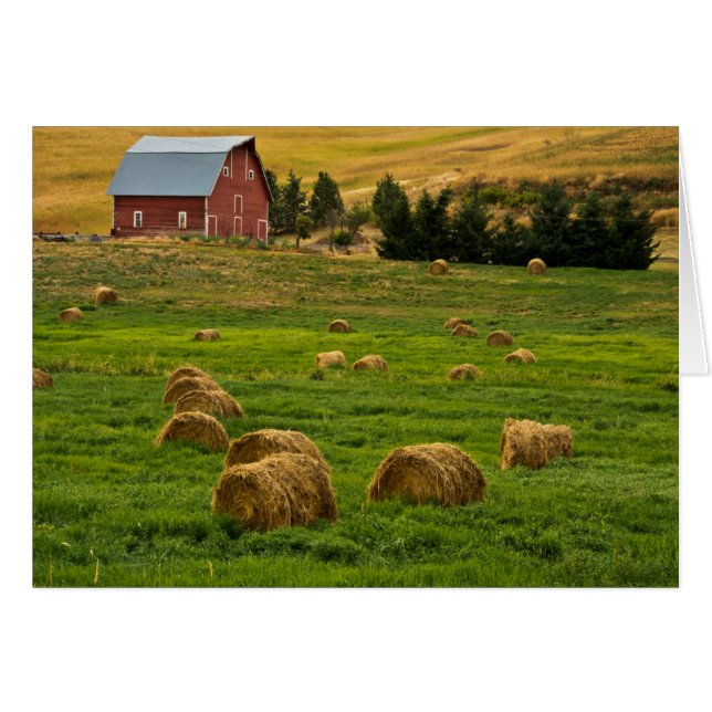 Rode schuur, hooibalen, Albion, Palouse gebied 2 (Voorkant Horizontaal)