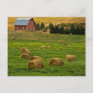 Rode schuur, hooibalen, Albion, Palouse gebied 2 Briefkaart